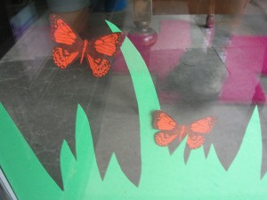 butterflies