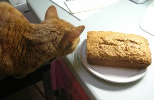 applesauce loaf