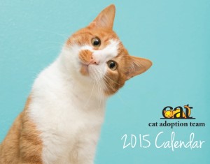 cat adoption team calender